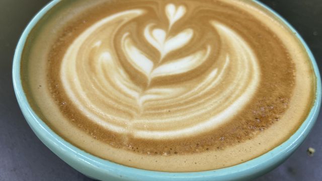 Chapel Hill coffee shop offers a magical woodland escape