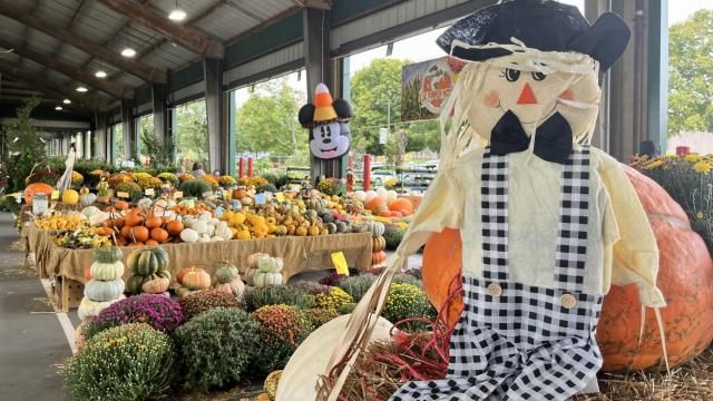 North Carolina Farmer's Market in the Fall