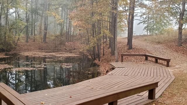 Carvers Creek State Park