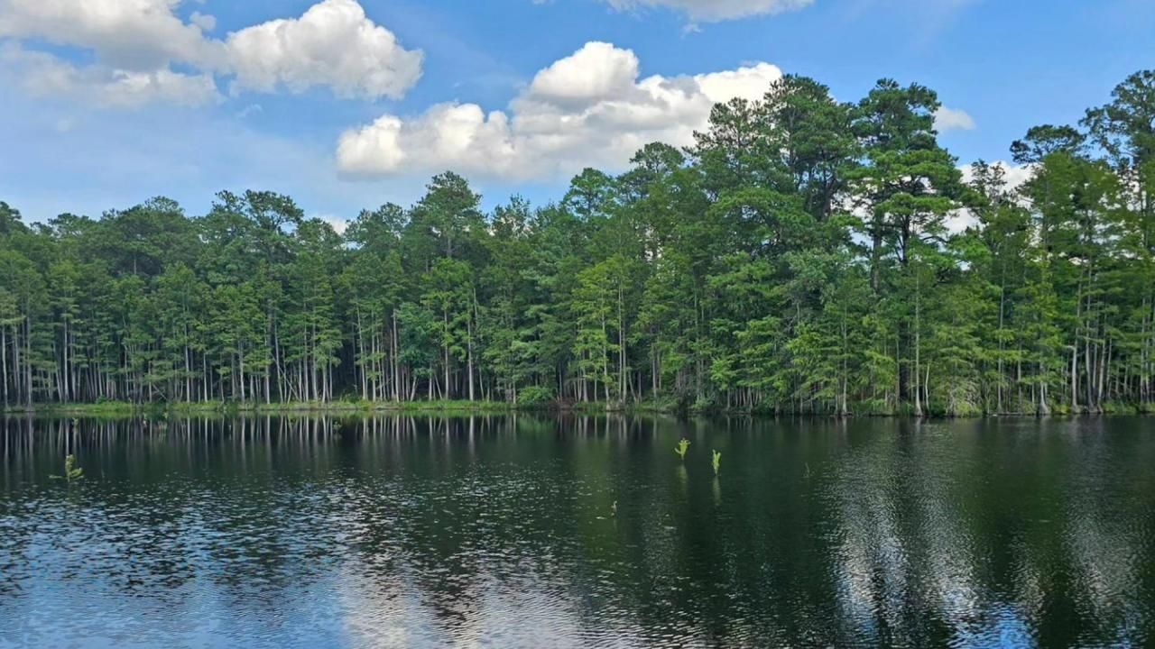 Best hiking trails in Fayetteville