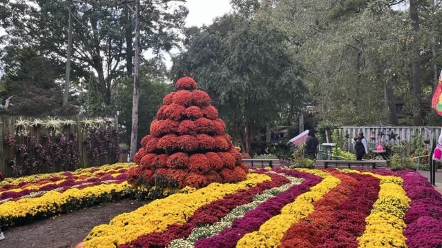 Garden show