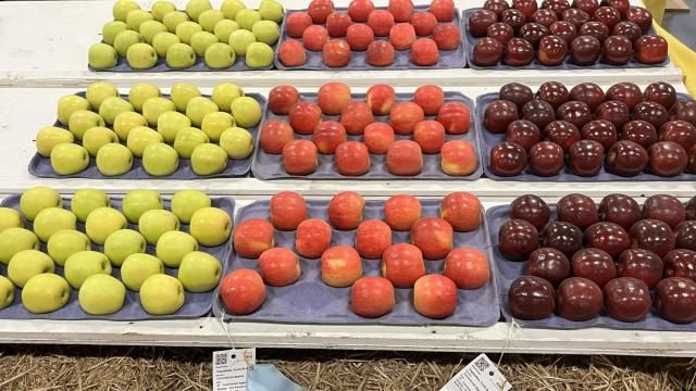 the freshest fruit