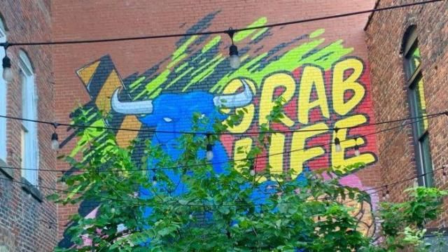 Grab Life by the Horns