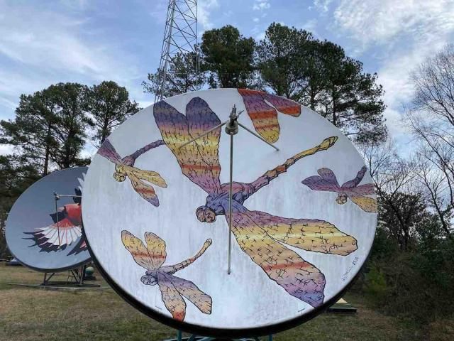 Satellite Park Murals