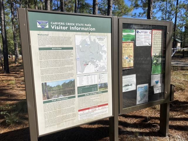 Carvers Creek State Park Sandhills Access