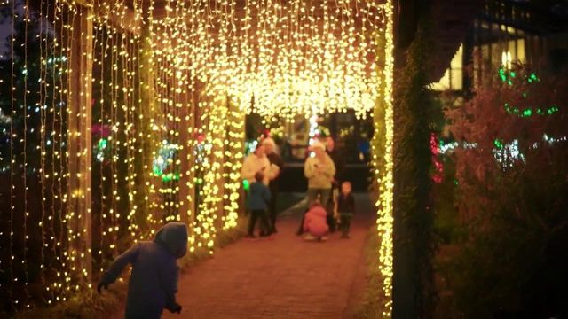 Cape Fear Botanical Garden's Holiday Lights in the Garden