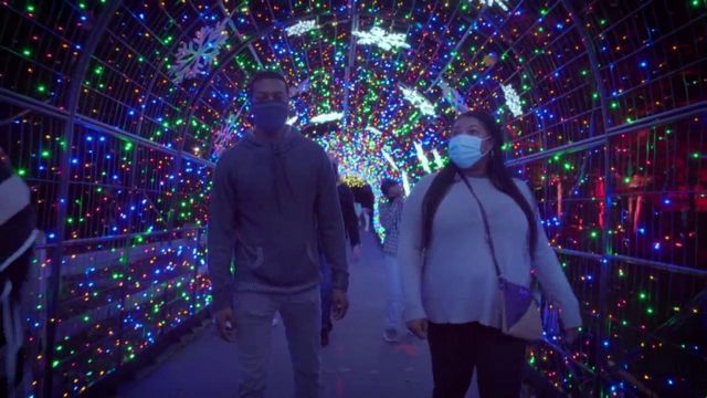 Greensboro Science Center will light up for winter