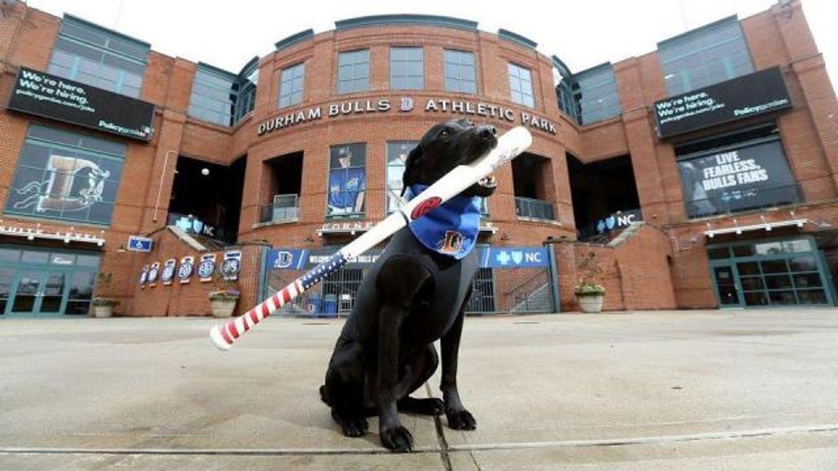 Ripken is the Durham Bulls bat dog