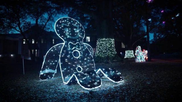 Nights of Lights 2022 returned to Raleigh with new experiences