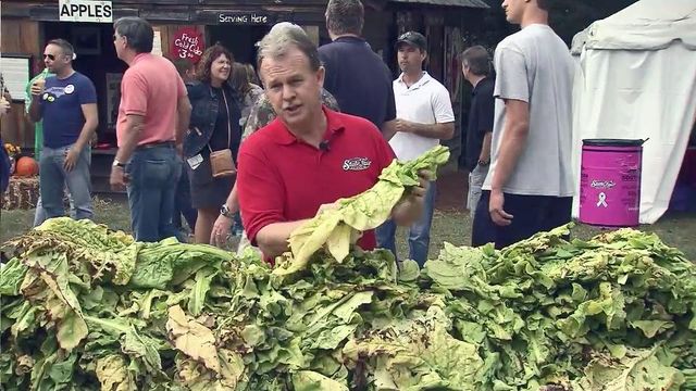 Tobacco-tying contest a State Fair tradition