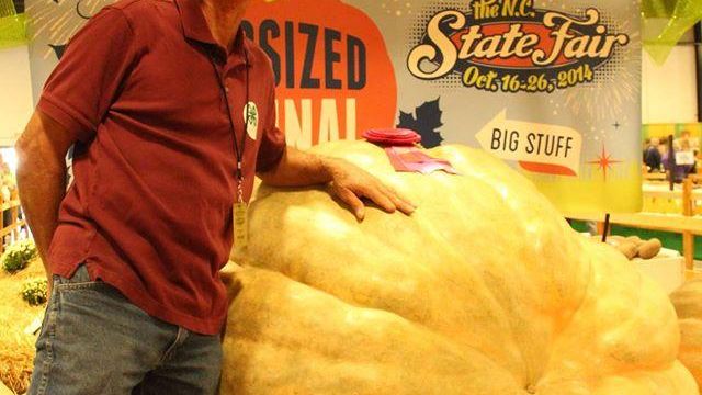 Seeds, luck key to State Fair's prize-winning pumpkin