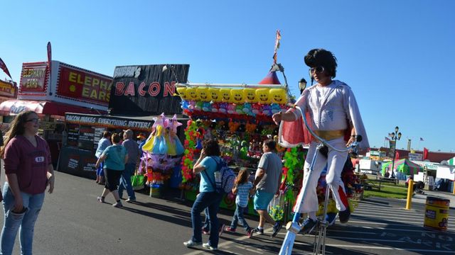 Bear Fair coming to fairgrounds