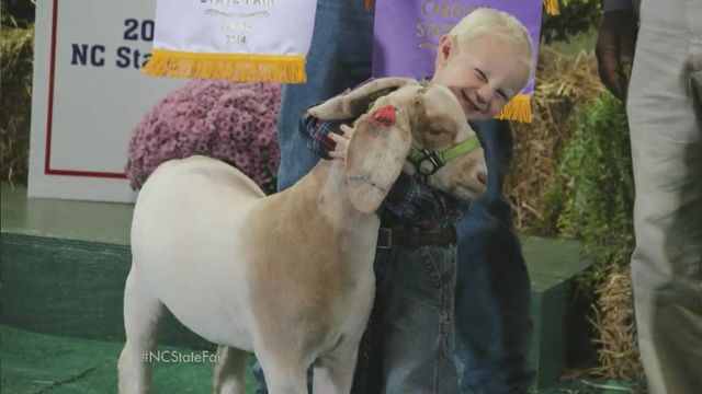 4-year-old returns to State Fair to show winning livestock