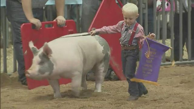 Zade Jennings continues success showing livestock at NC State Fair