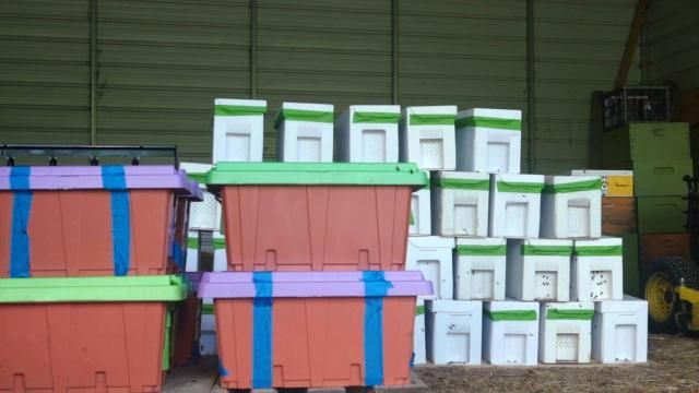 Credit: Ashe County Beekeepers Association