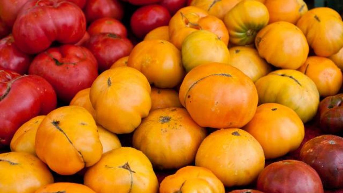 Midtown_Farmers_Market-14