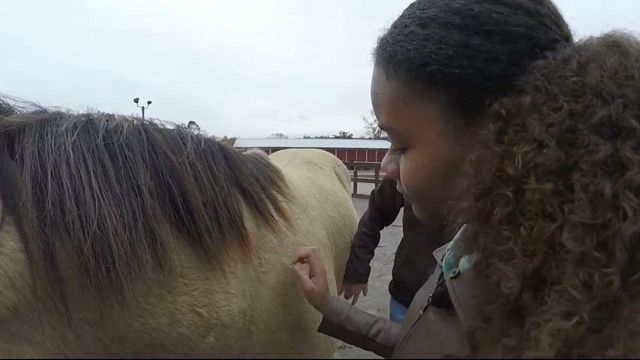 Bond with horse teaches a girl to trust again