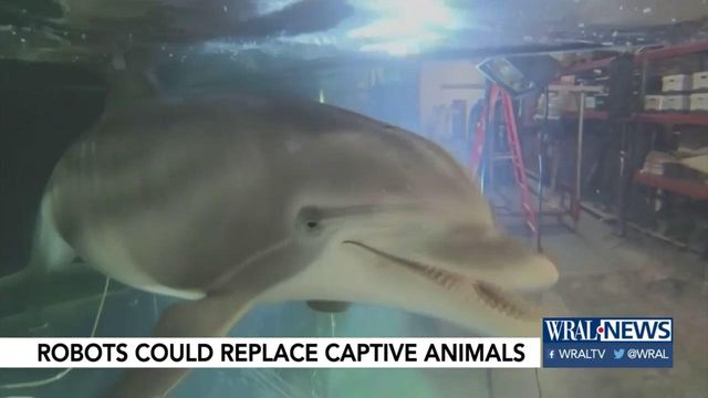 Robots could replace animals in zoos, aquariums in near future