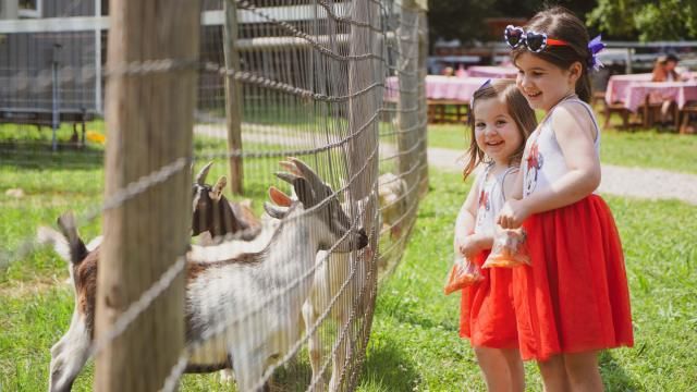 Two sisters feed goats at Spring Haven Farms in Chapel Hill on July 4, 2021. c
