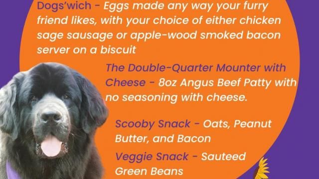 Flying Biscuit dog menu