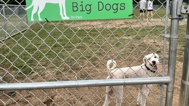 Dix Dog Park