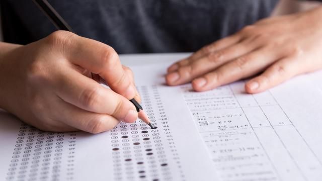 Student exam (Adobe Stock)