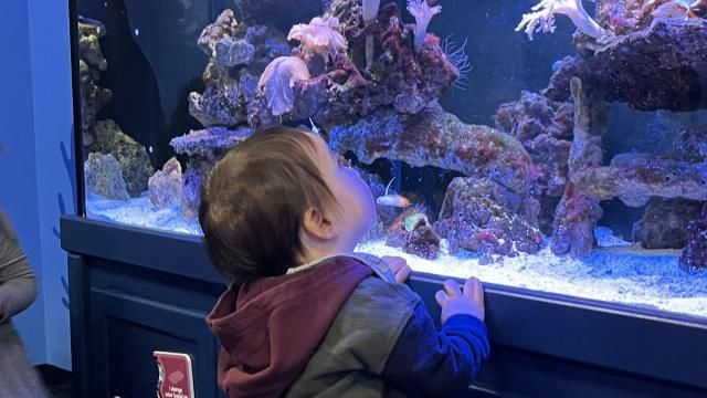 Under the Waves is located on the first floor of Marbles Kids Museum. It offers sensory exploration in a calming environment. (Marbles Kids Museum)