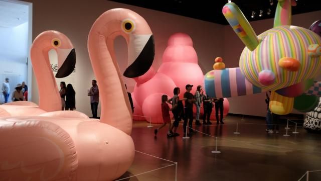 Final week to see inflatable exhibit at Gregg Museum