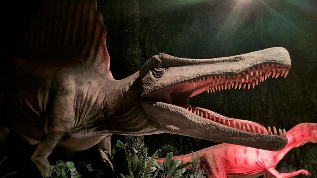Suchomimus shows off long rows of teeth