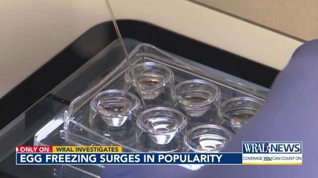 As fertility treatments come under fire, WRAL examines the increased interest in IVF and egg freezing. Where North Carolina stands on the cost of creating a family.
