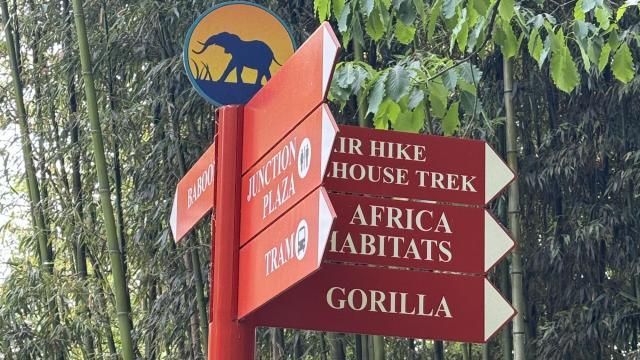 The North Carolina Zoo 