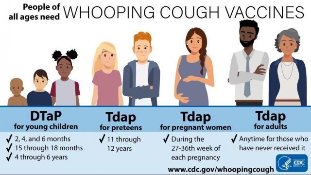 Whooping cough cases in the US are the highest they've been in a decade ...