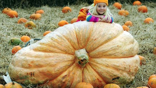 Five impressive health benefits of pumpkin