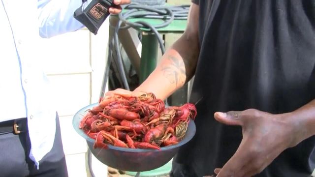 Thieves 'save' $1000 worth of crawfish from the plate