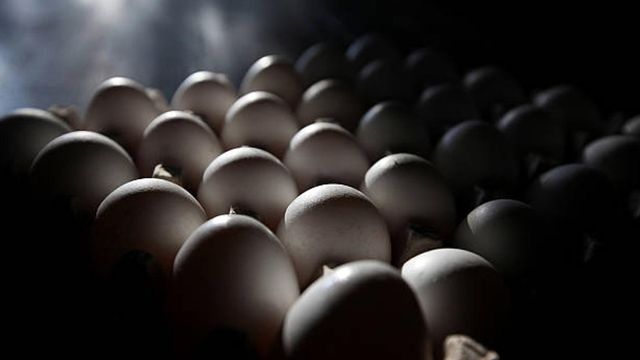 Nearly 207M eggs recalled due to salmonella concerns