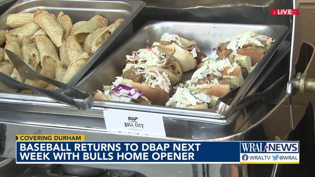 All Star Dogs: Durham Bulls Pet Products