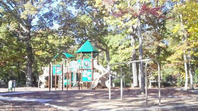 Park Review: Raleigh's Lions Park