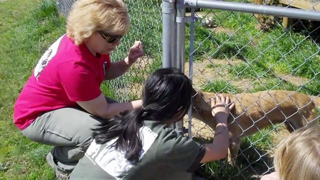 Conservators' Center program lets families help care for animals