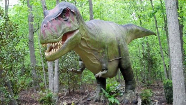 Zoo plays host to moving dinosaurs