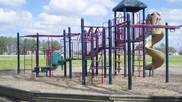 Playground Review: Parrish Womble Park, Holly Springs
