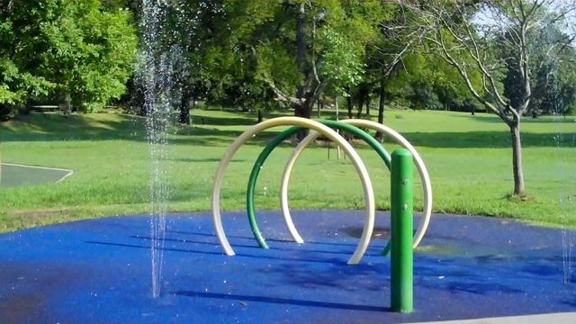 Playground Review: Durham's Forest Hills Park