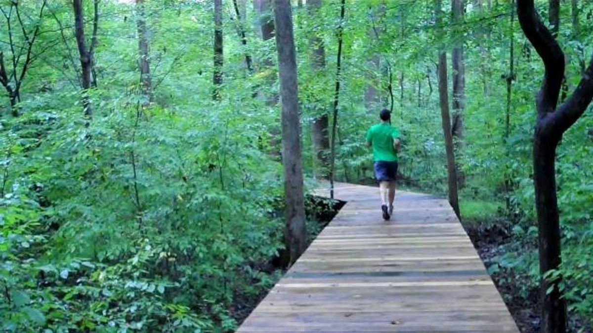 Hemlock Bluffs Nature Preserve