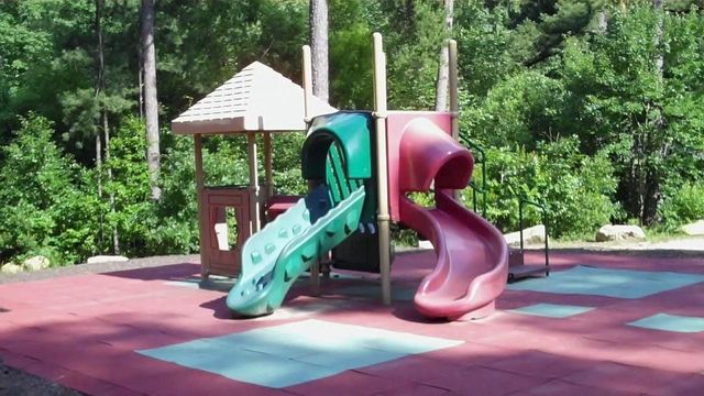 Playground Review: Kentwood Park in Raleigh