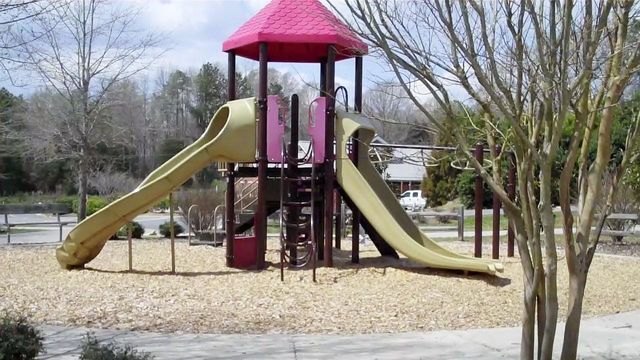 Playground Review: Buffaloe Road Athletic Park