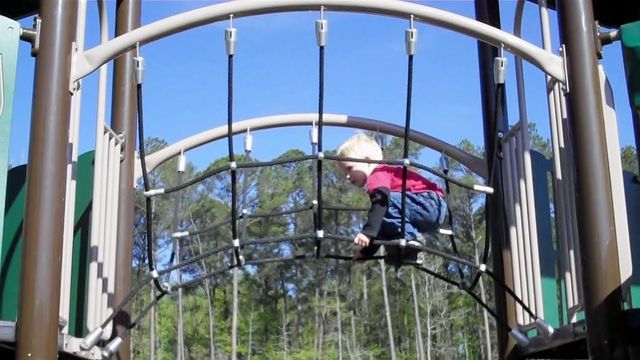 Playground Review: Apex Nature Park