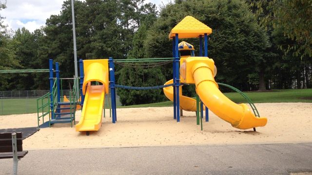 Playground Review: Spring Forest Road Park