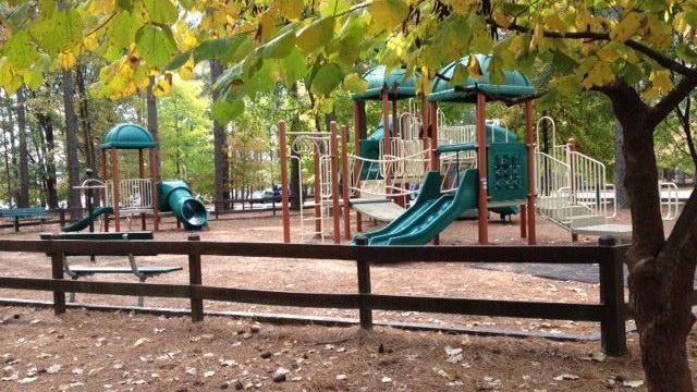 Playground Review: Harris Lake County Park