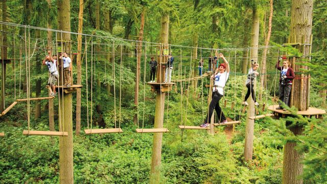 Treetop course offers high-flying fun in north Raleigh