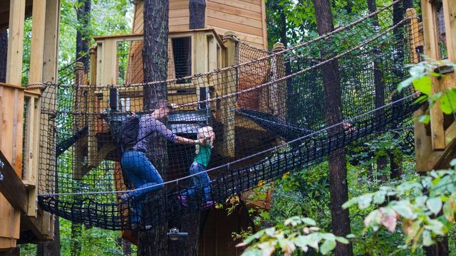 Durham museum opens treehouse exhibit for families