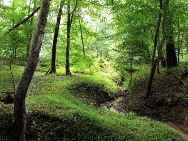 umstead mountain bike trails